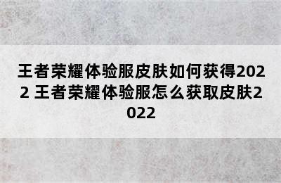 王者荣耀体验服皮肤如何获得2022 王者荣耀体验服怎么获取皮肤2022